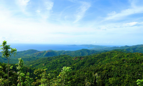 Standard Post with Image